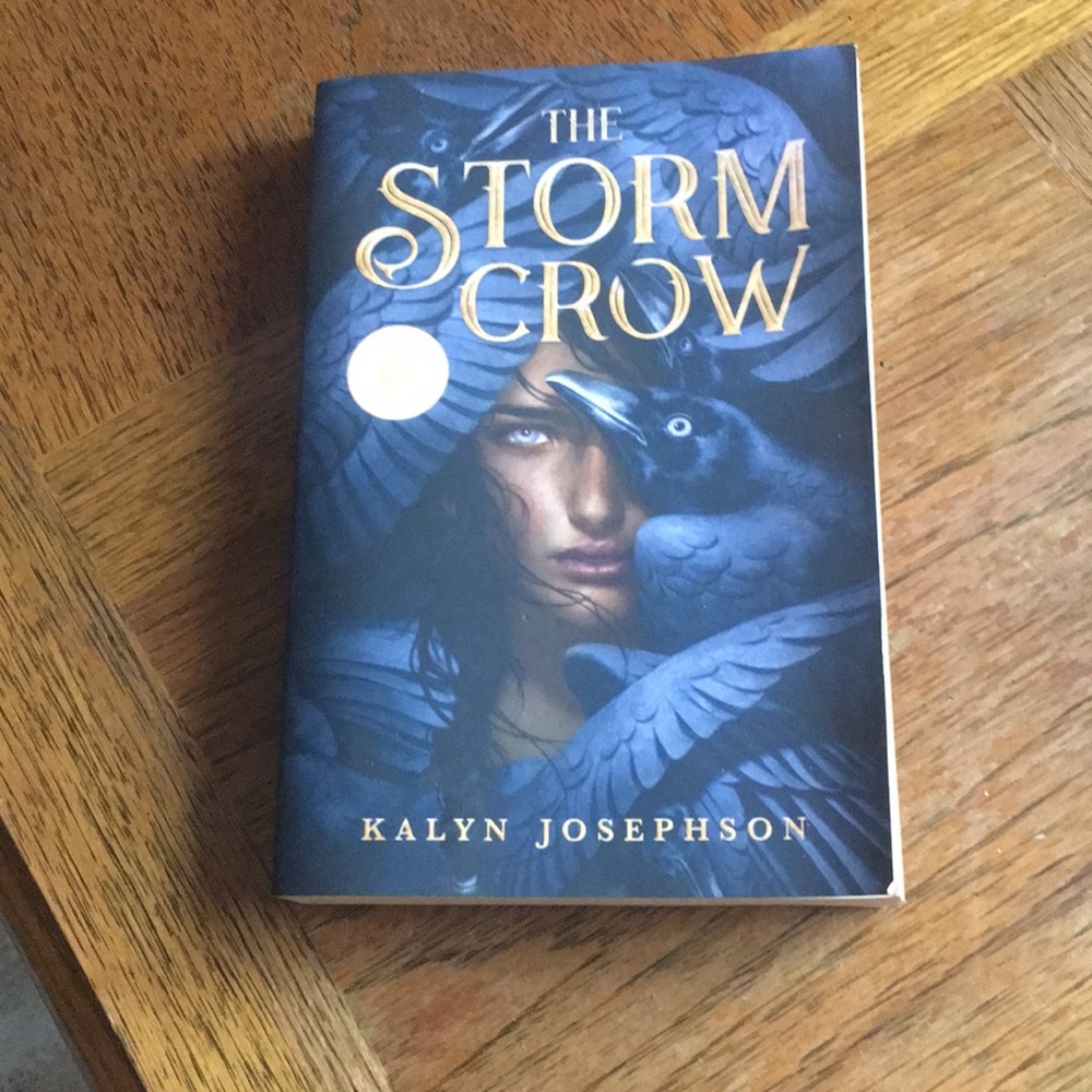 2/$15 Young adult novel